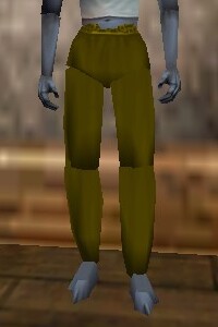 File:Baggy Pants Berimphur Live.jpg