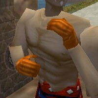 File:Noble Gauntlets Fail Live.jpg