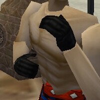 File:Noble Gauntlets Thananim Live.jpg