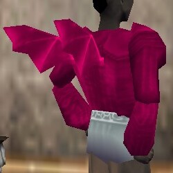 File:Dusky Winged Coat Fail Live.jpg