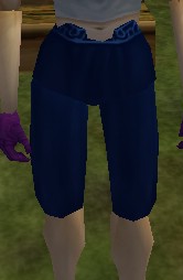 File:Loose Breeches (Dark Blue) Live.jpg