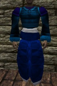 File:Amuli Armor Colban Live.jpg