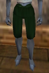 File:Loose Breeches Verdalim Live.jpg