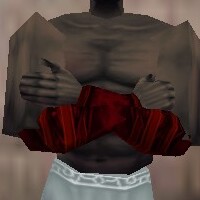 File:Armoredillo Hide Bracers Hennacin Live.jpg