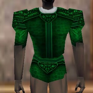 File:Fine Armoredillo Hide Shirt Verdalim Live.jpg