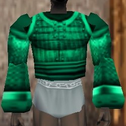 File:Heavy Gromnie Hide Coat Minalim Live.jpg