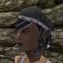 File:Leather Helm Live.jpg
