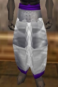 File:Amuli Leggings (The Crafter) Argenory Live.jpg