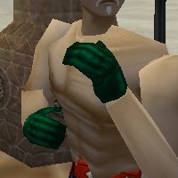 File:Noble Gauntlets Minalim Live.jpg