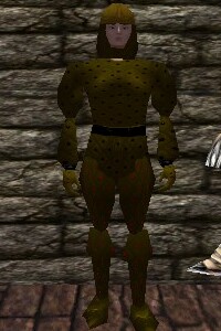 File:Studded Leather Armor Berimphur Live.jpg