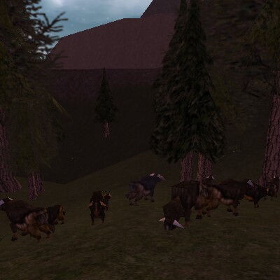 File:80.7S, 34.5W - Auroch Herd Live.jpg