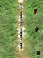 Thumbnail for version as of 13:11, 15 August 2026