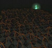 Non-targetable damage dealing Bloodroot Vines on bottom of jump rooms (also found in corridors and rooms)