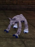 A Pet Polar Ursuin Cub from the Sins of the Fathers event, December 2008 and the Gaining Ground event, December 2009.