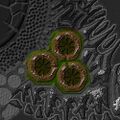 Thumbnail for version as of 13:08, 15 August 2026