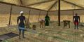 Thumbnail for version as of 13:10, 15 August 2026