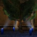 Thumbnail for version as of 13:13, 15 August 2026