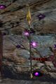 Thumbnail for version as of 13:14, 15 August 2026