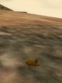 Thumbnail for version as of 13:17, 15 August 2026