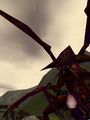 Thumbnail for version as of 13:07, 15 August 2026