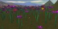 Thumbnail for version as of 13:05, 15 August 2026