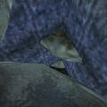 Thumbnail for version as of 13:14, 15 August 2026