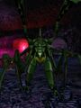 Thumbnail for version as of 13:13, 15 August 2026