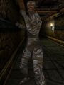 Thumbnail for version as of 13:19, 15 August 2026