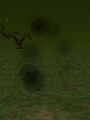 Thumbnail for version as of 13:09, 15 August 2026