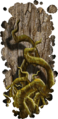 Thumbnail for version as of 13:15, 15 August 2026