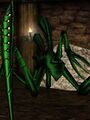 Thumbnail for version as of 13:11, 15 August 2026