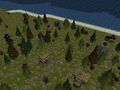 Thumbnail for version as of 13:12, 15 August 2026