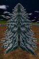 Thumbnail for version as of 13:10, 15 August 2026