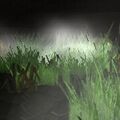 Thumbnail for version as of 13:10, 15 August 2026