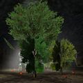 Thumbnail for version as of 13:05, 15 August 2026