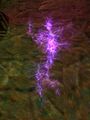 Thumbnail for version as of 13:17, 15 August 2026