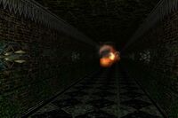 Fire Traps
