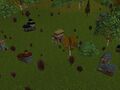 Thumbnail for version as of 13:10, 15 August 2026