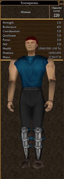 File:Townsperson.jpg