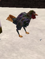 Thumbnail for version as of 13:15, 15 August 2026