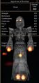 Thumbnail for version as of 13:11, 15 August 2026