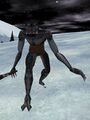 Thumbnail for version as of 13:16, 15 August 2026