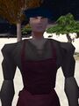 Thumbnail for version as of 13:06, 15 August 2026