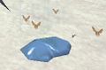 Thumbnail for version as of 13:12, 15 August 2026