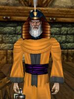 Ulgrim the Unpleasant's costume