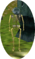 Thumbnail for version as of 13:12, 15 August 2026