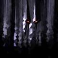 Thumbnail for version as of 13:11, 15 August 2026