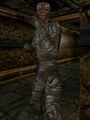 Thumbnail for version as of 13:08, 15 August 2026