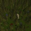 Thumbnail for version as of 13:16, 15 August 2026