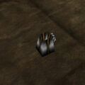 Thumbnail for version as of 13:17, 15 August 2026